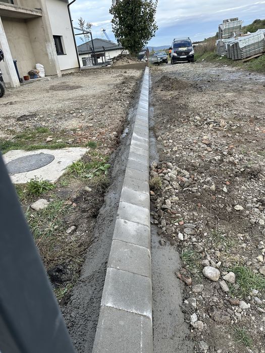 Montaj Pavaj si Reparati