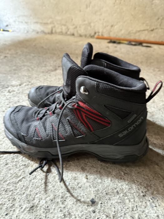 Bocanci salomon barbati