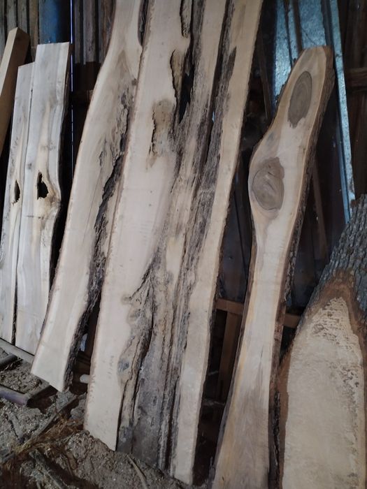 Blaturi pentru proiecte rășină