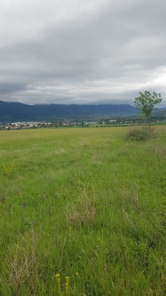 Продава се Парцел в Кюстендил, Бузлуджа - 3600 кв.м за 2 €/кв.м - Снимка #1