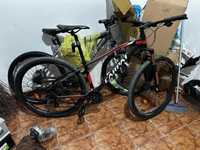 Bicicleta Carpat