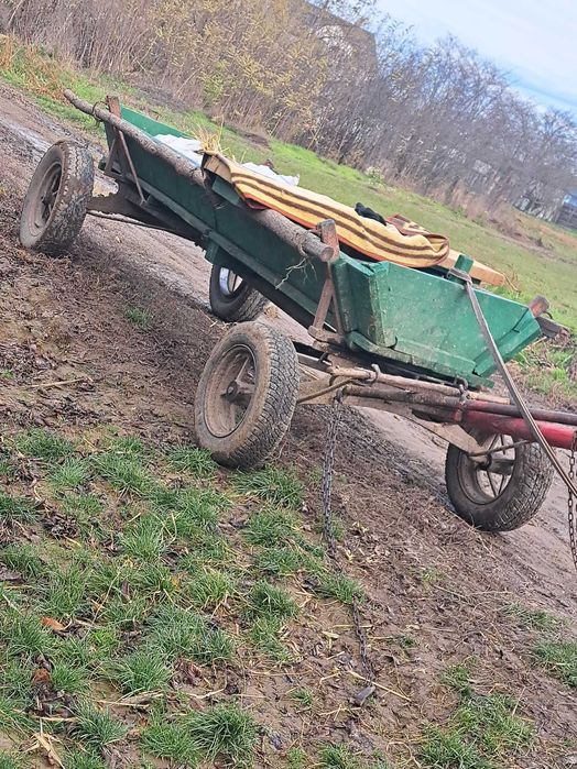 Vând flaiton 16 cu 13