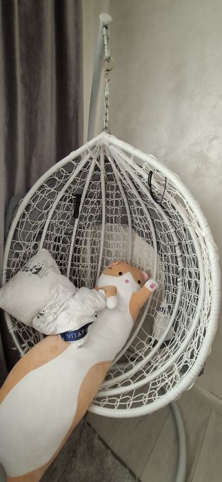 Яицо кочеля для дома.