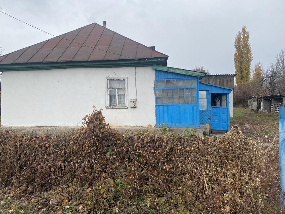 Дом в Коктобе2