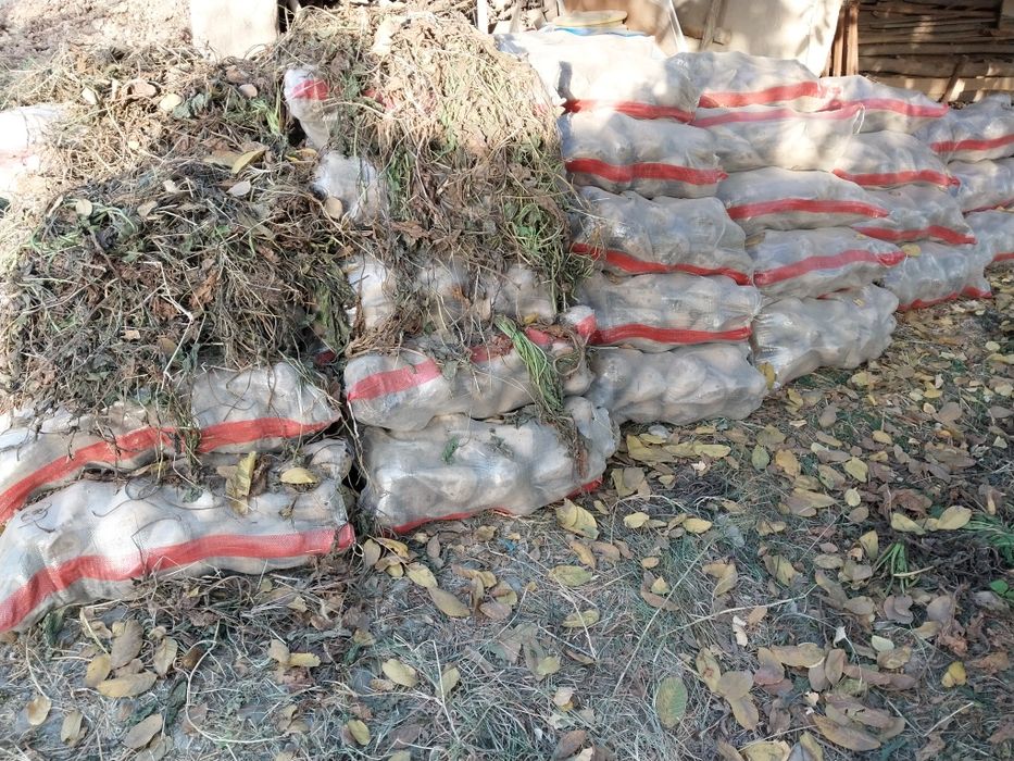 Qand lavlagi sotiladi