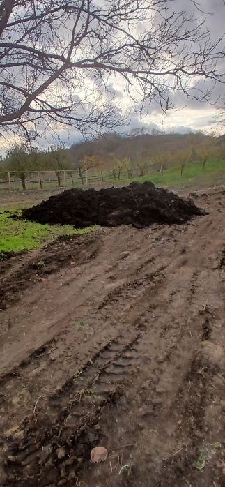 Gunoi - Compost - Mraniță