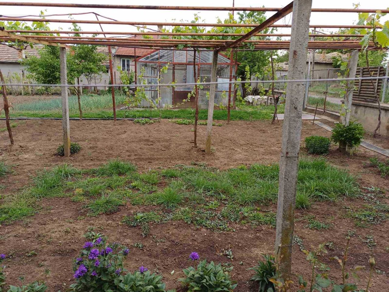 Продава се Къща в Русе, Здравец Север 1 - 1253 кв.м за 24 €/кв.м - Снимка #3