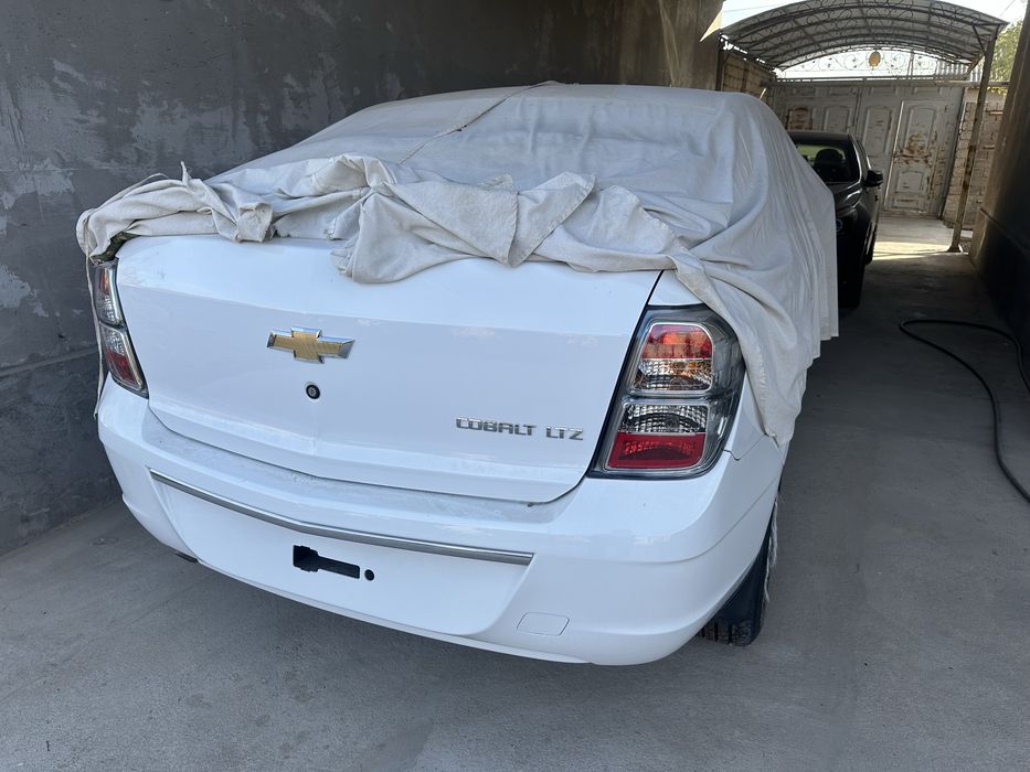 Cobalt midnight 2025