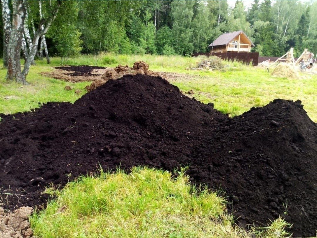 Биогумус Biogumus organik o'git