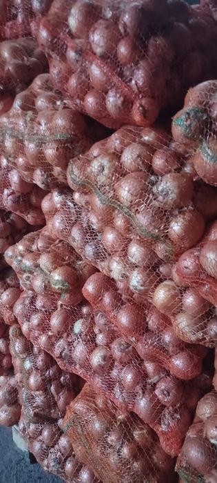 Ceapa samanta legend