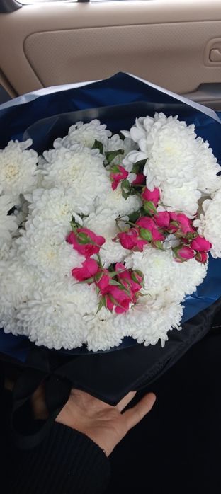 Свежии хризантема продам