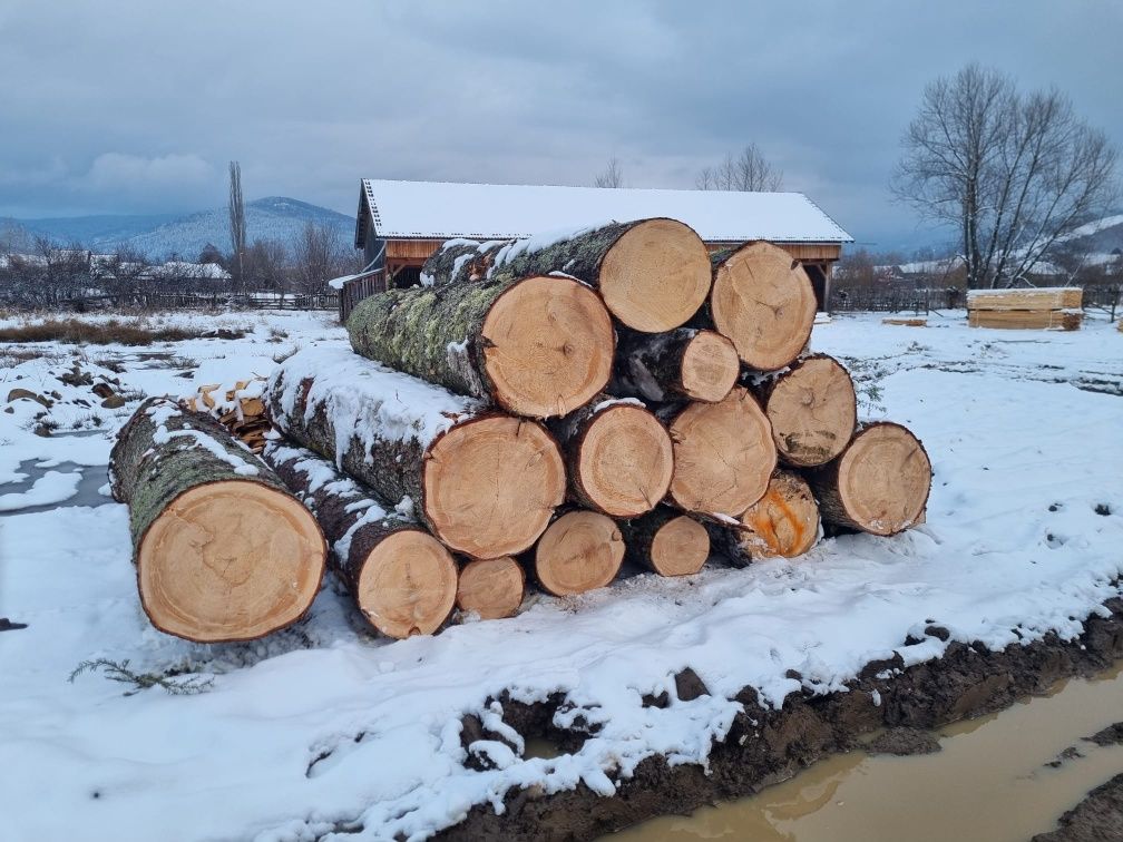 Cherestea, sipcă, grinzi