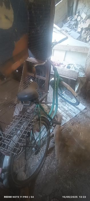 Бутинхамайуги тиниг