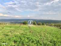 Teren intravilan in Mogosesti, Iasi - 6800mp