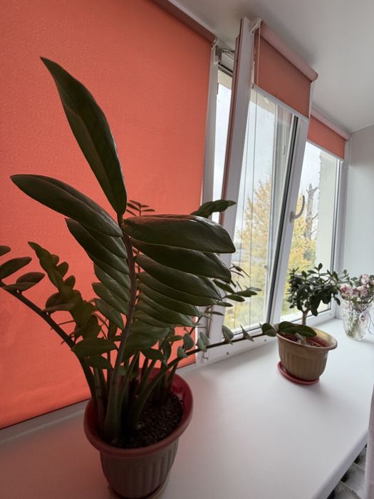Продается 2-х комн.кв