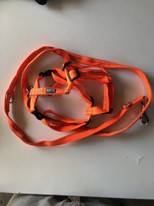 Lesa plus ham flexi-AniOne