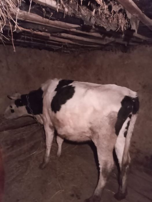 Продам 700 тыс и 230 тыс