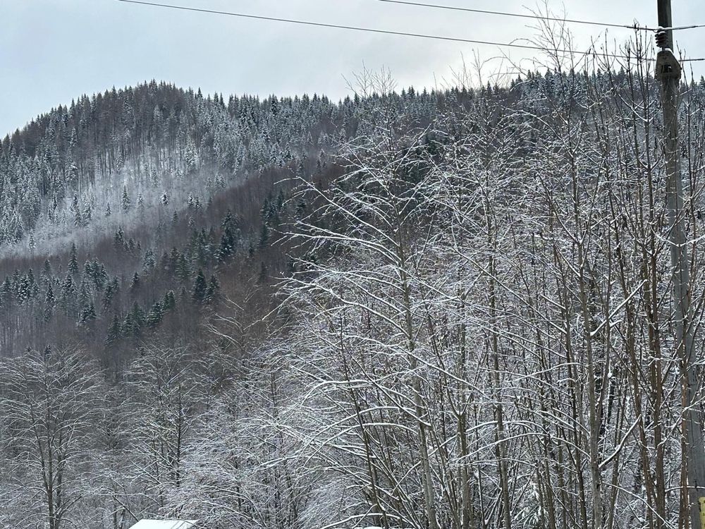 Teren Intravilan Tarcău