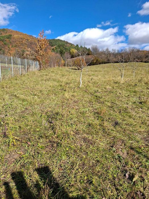 Ultimile loturi! Vând teren intravilan în Piatra Neamț, zona Bistrița