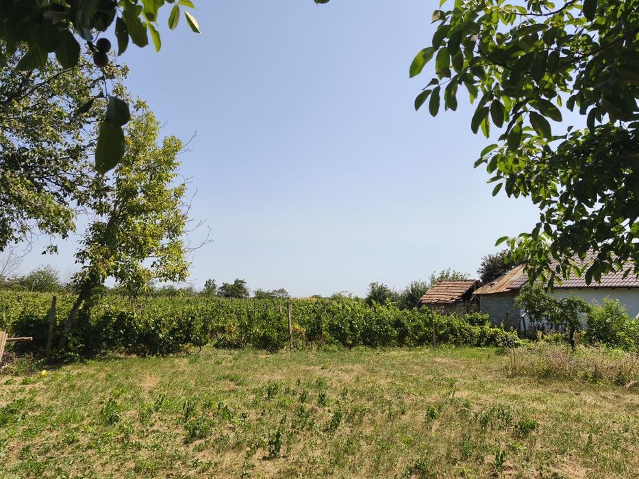 Intravilan de costruit Cimpineanca/ Focsani