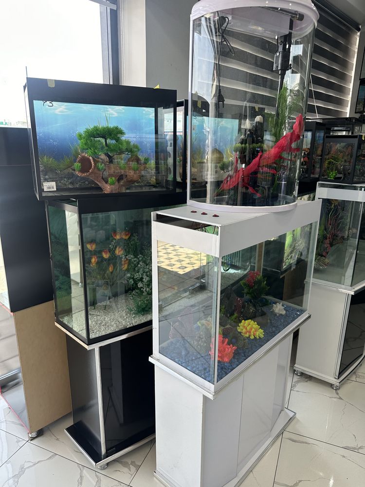 Akvarium Dokon Magazin