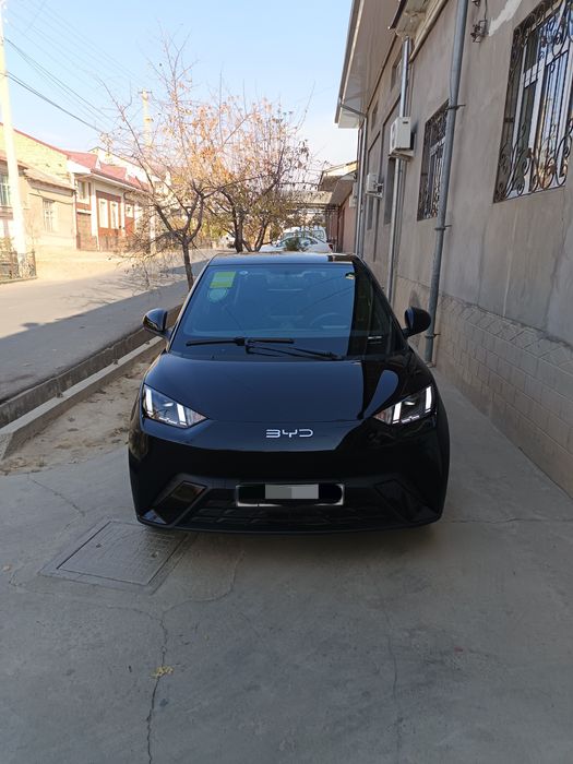 Byd Seagull flying 405km  full pozitsiya