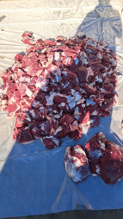 Прясно Телешко Месо