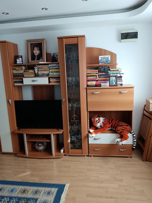 Biblioteca living model 2010