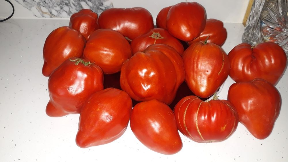 Bulion roşii bio