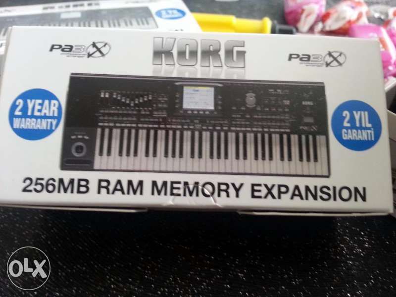 256 MB RAM за КОRG ра2х, ра3х,ра800, М3