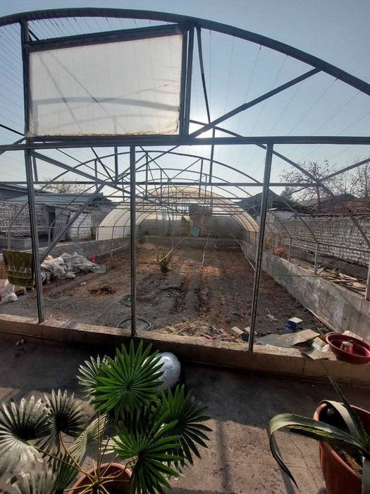 Сурхтепада ховли жой сотилади