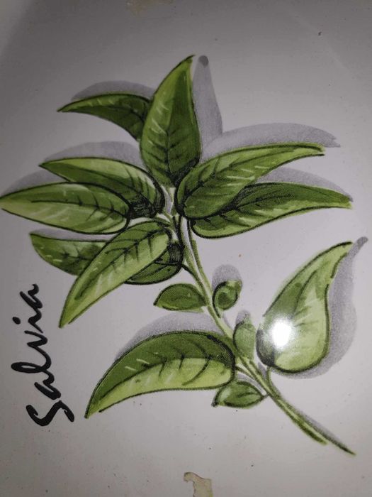 vase ceramica vitrata termorezistente microunde, cuptor