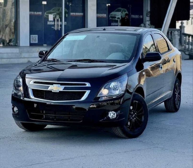 Kobalt 2025 Midnayt Qora Sho’t spravka