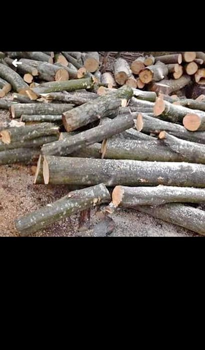 Vand lemne de foc esente tari mai multe detali  in privat