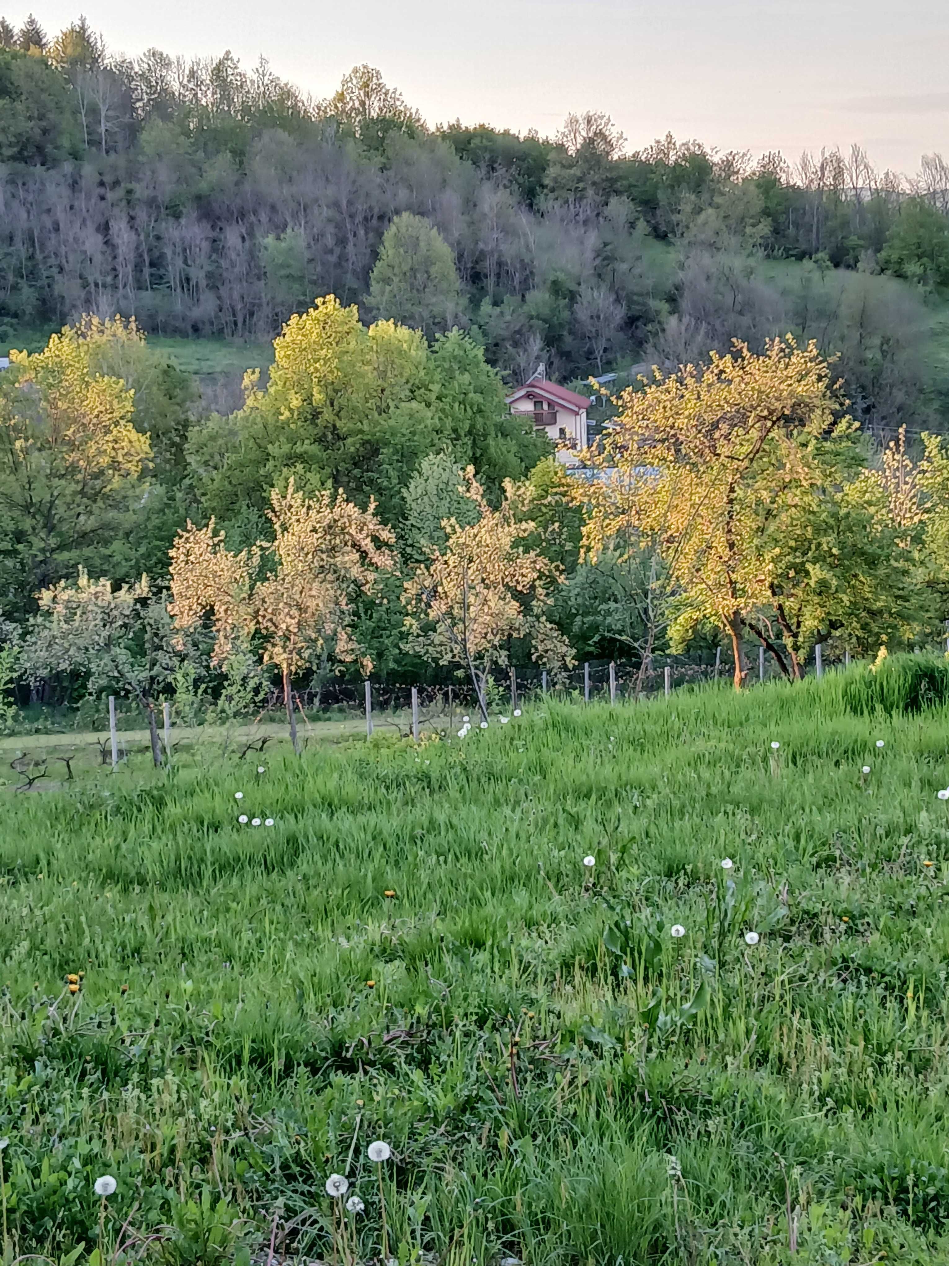 Vând teren intravilan Merisani Argeș