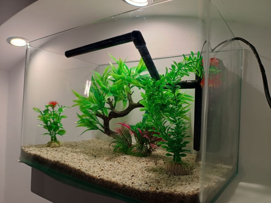 Acvariu sticla curbat complet