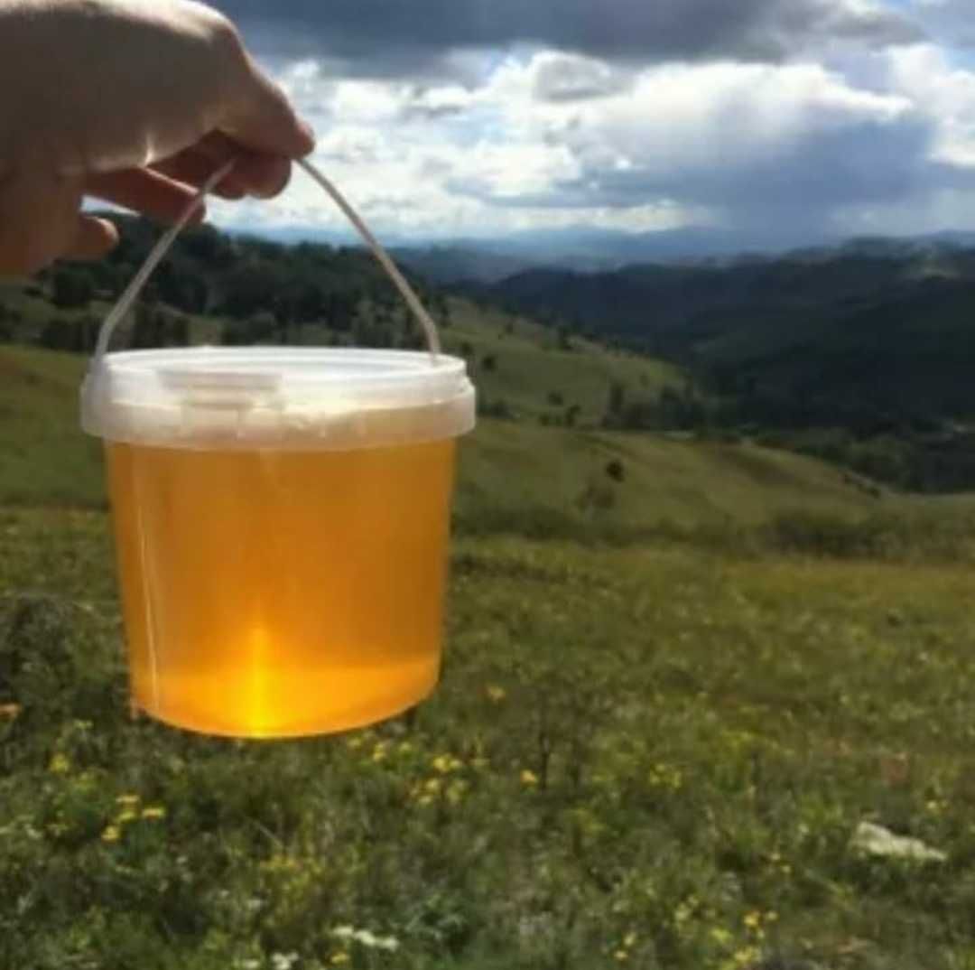 Продаем Натуральный Мёд с Восточно Казахстанской Области