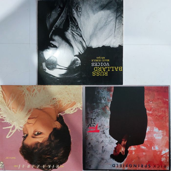 disc vinil muzică 15 buc (10)