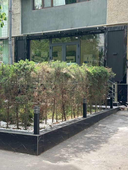 Нежилое помещение Кунаева 2-линия Ор.:Яккасарайский ЗАГС