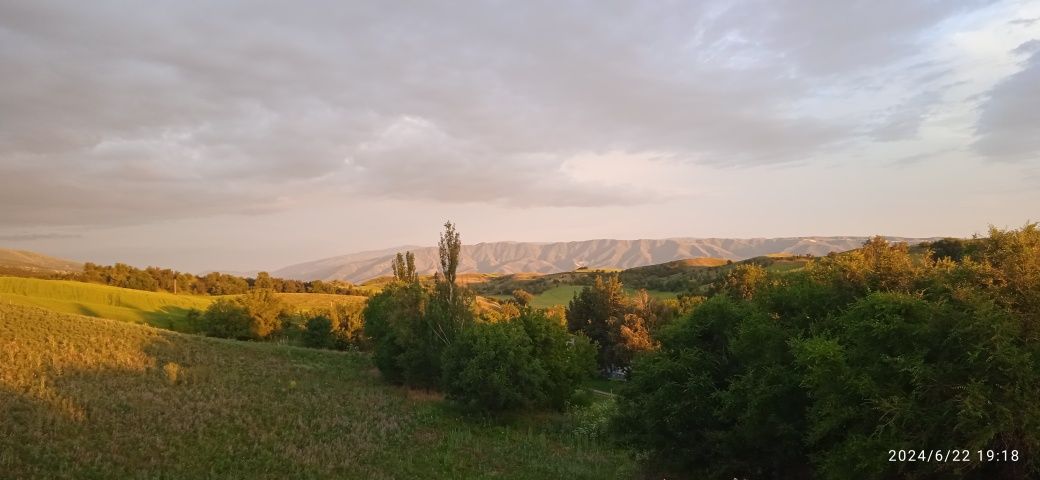Продам фазенду или дачу