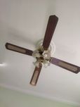 Ventilatir lustra sotoladi