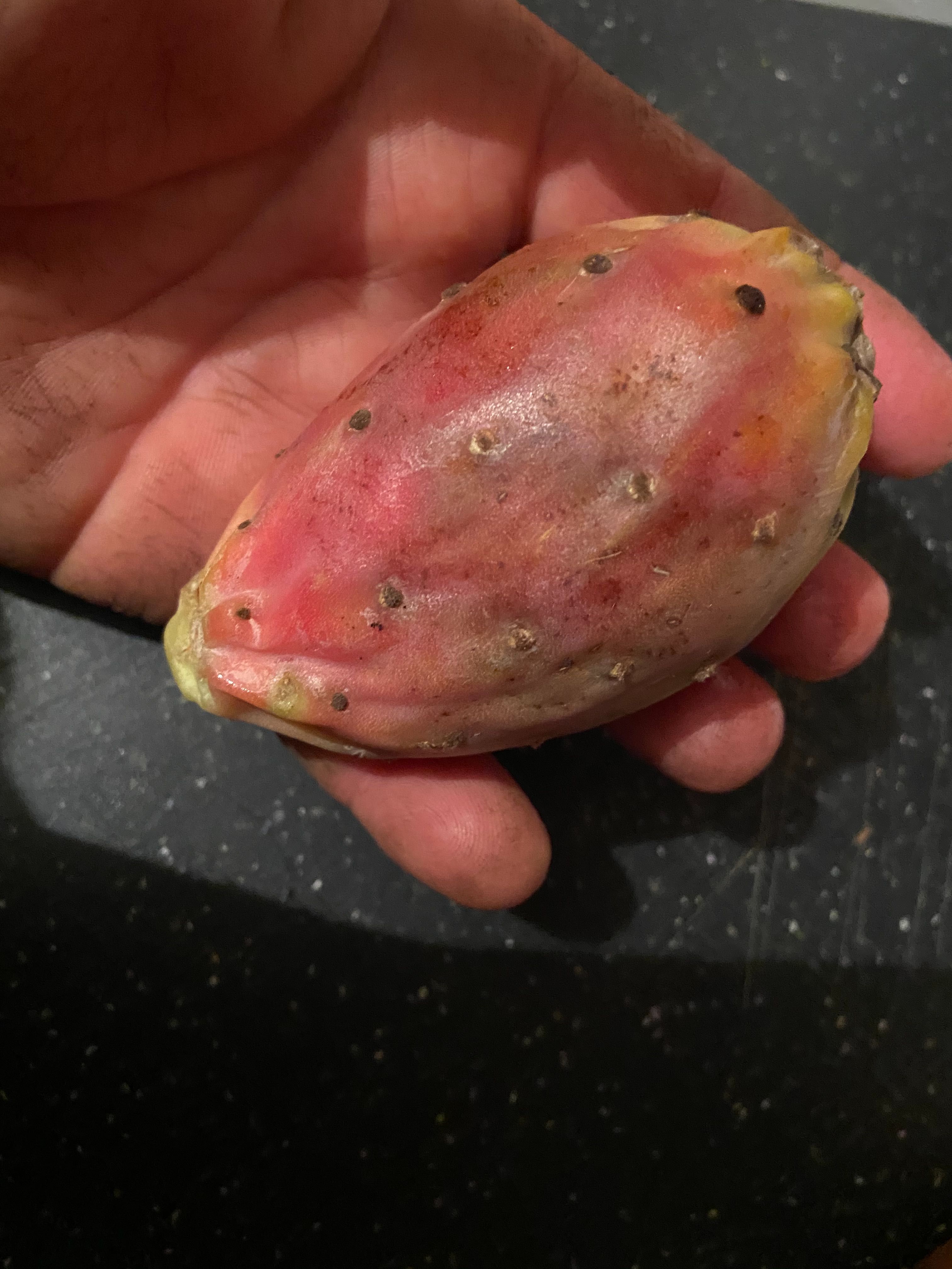 Смокиня индийска, Кактус ядлив опунция два вида, Opuntia ficus-indica