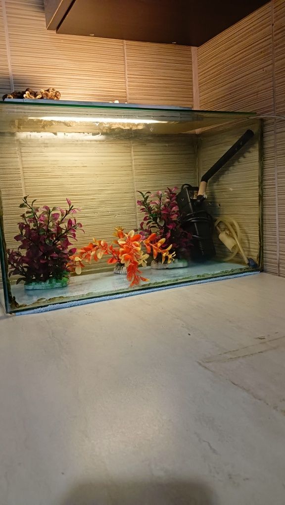 Vând  acvariu  pentru pești cu accesorii.