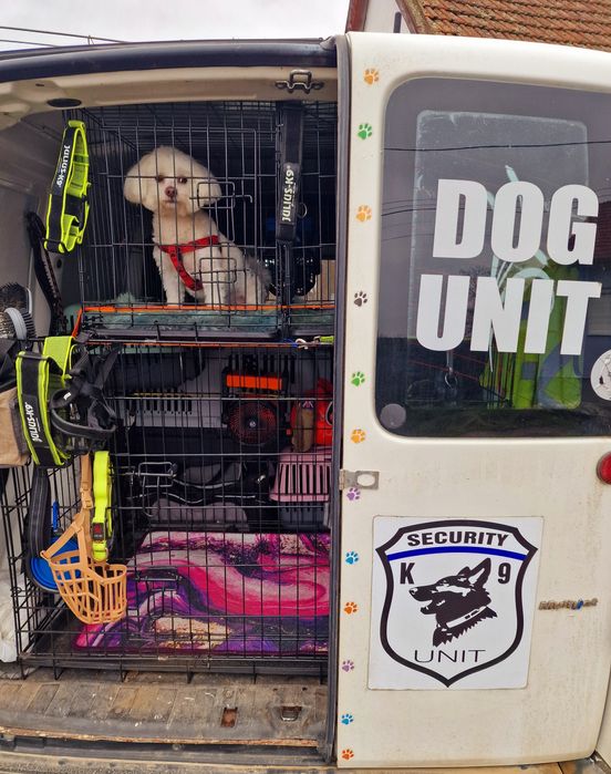 Animale de companie - TRANSPORT