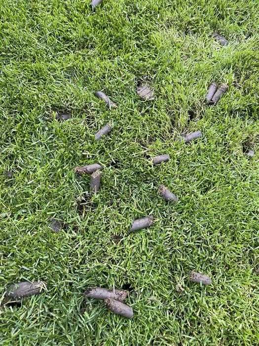 Aerare gazon cu aerator cu carote - solutie profesionala