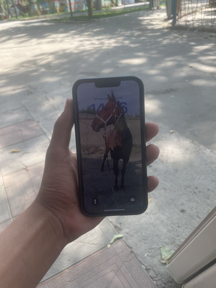 iPhone 13 uzi obmen