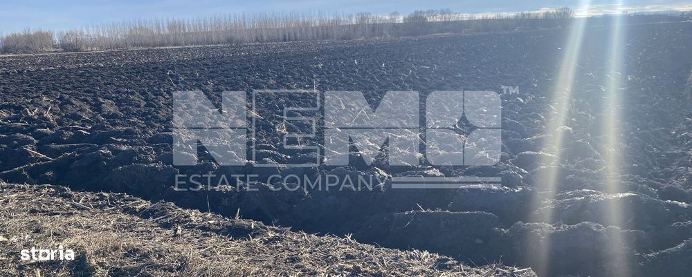 Teren extravilan | Drum Satu Mare | 42Ari