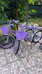 Bicicleta fetite 6-10 ani