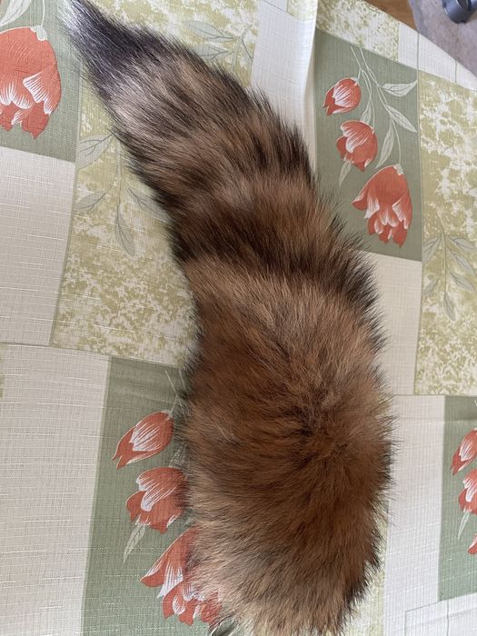 Продам настоящий лисий хвост - брелок новый.