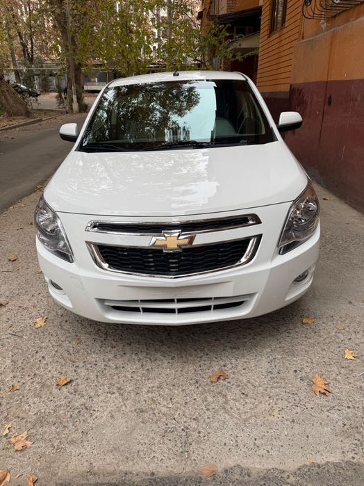 Cobalt bugun chiqdi oq